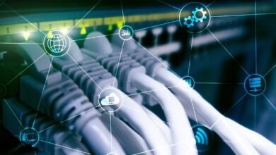 Network Architecture