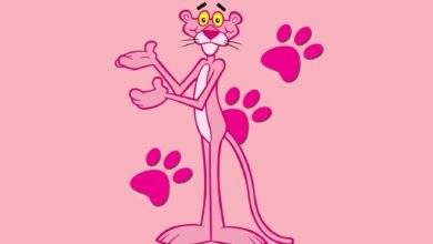 Character:9vygtc9rkce= Pink Panther