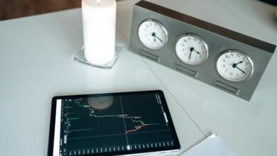 animation trivia and insights