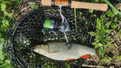 lil durk s 2024 net worth