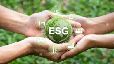 ESG Consultants in Australia: Treating WHS as a Pillar of Sustainable Strateg