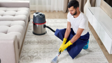 How Professional Carpet Cleaning Service for Pet Owners Work