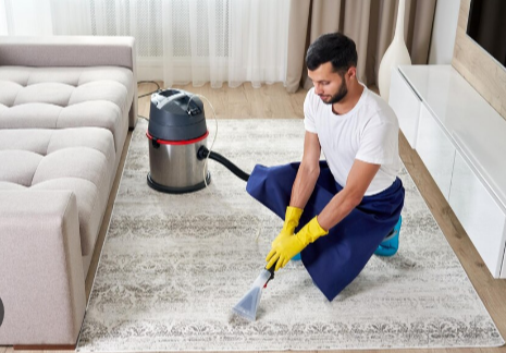 How Professional Carpet Cleaning Service for Pet Owners Work