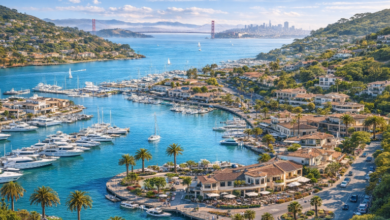 The Short Intro Of The Realtors In Marin County