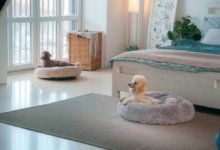 Best Dog Calming Beds: The Ultimate Guide to Comfort and Peace for Your Furry Friend 