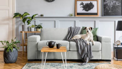 Designer Furniture Australia: Considerate Pieces to Modern Everyday Life