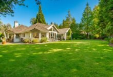 Can Soil pH Levels Make or Break Your Buffalo Grass Lawn?