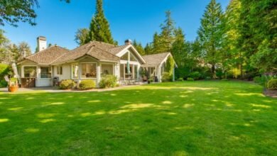 Can Soil pH Levels Make or Break Your Buffalo Grass Lawn?