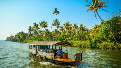 What are the most important reasons for planning a trip to Kochi city?