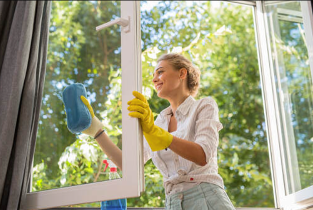 Sparkling Views Residential Window Cleaning Excellence