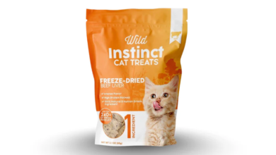 Why Freeze-Dried Beef Liver Is One of the Cleanest Cat Treat Options on the Market