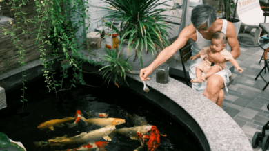 Pond Specialist Guide to Expert Pond Design Maintenance and Care in USA and UK