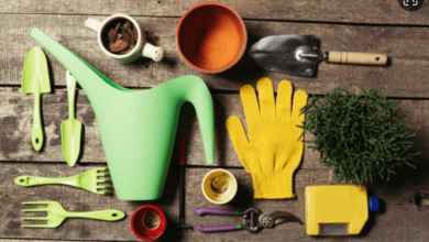 The Little Tools That Make a Big Difference in Your Garden