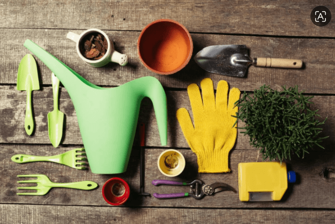 The Little Tools That Make a Big Difference in Your Garden