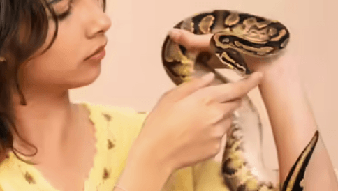 What Do Snakes Eat and the Unexpected Lessons They Offer for Mental Health Recovery