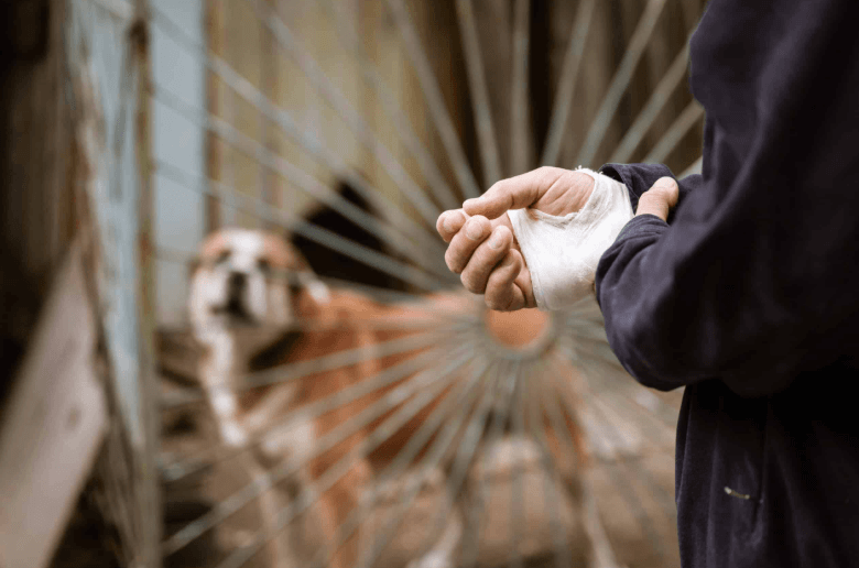 What A Dog Bite Injuries Lawyer Can Do During Insurance Disputes?