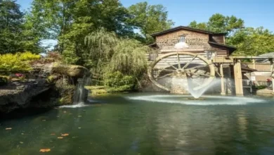 The 7 Best Budget Travel Packages to Kissimmee, FL in 2026