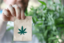 Medical Marijuana Dispensary vs Recreational Weed Dispensary: Which Meets Your Needs?