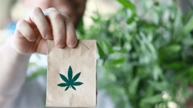Medical Marijuana Dispensary vs Recreational Weed Dispensary: Which Meets Your Needs?