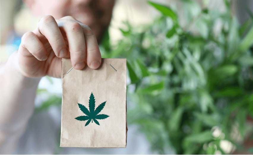 Medical Marijuana Dispensary vs Recreational Weed Dispensary: Which Meets Your Needs?