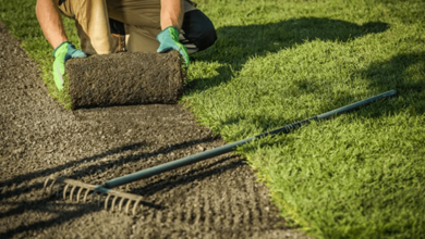 Preparing Your Soil for New Turf in Hervey Bay