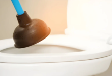 How a Plumber in Annerley Fixes Blocked Toilets Quickly