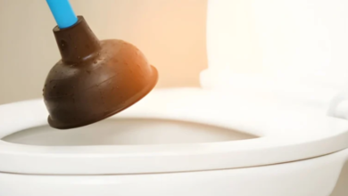 How a Plumber in Annerley Fixes Blocked Toilets Quickly