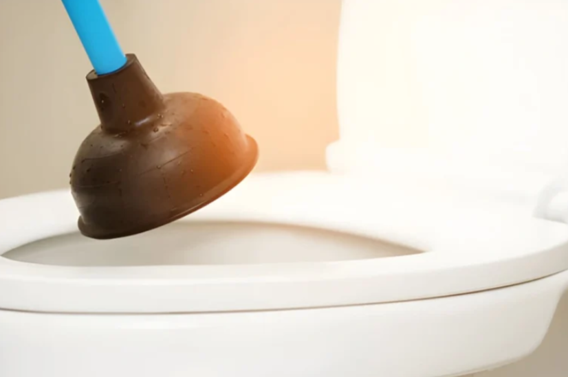 How a Plumber in Annerley Fixes Blocked Toilets Quickly