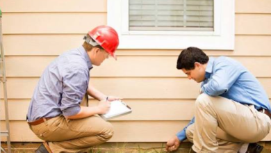 How Much Does a Structural Engineer Cost in London? A Homeowner's Guide