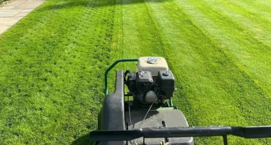 Top 8 Lawn Care Myths Britons Still Believe