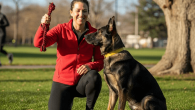 How Dog Owners Learned to Rethink Snack Time