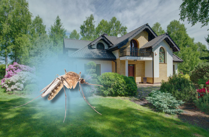 Choosing Effective Mosquito Control Solutions for Commercial and Outdoor Spaces
