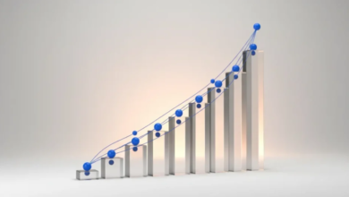 SEO Traffic Services